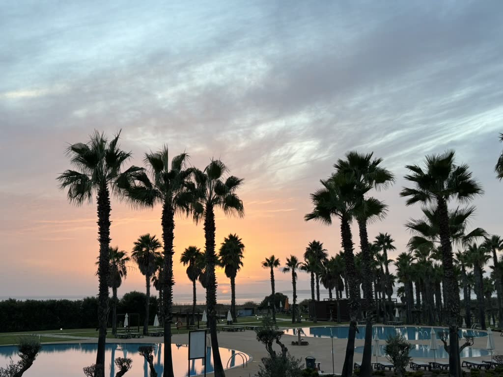 Palm trees and pools at sunset by the beach outside Marbella