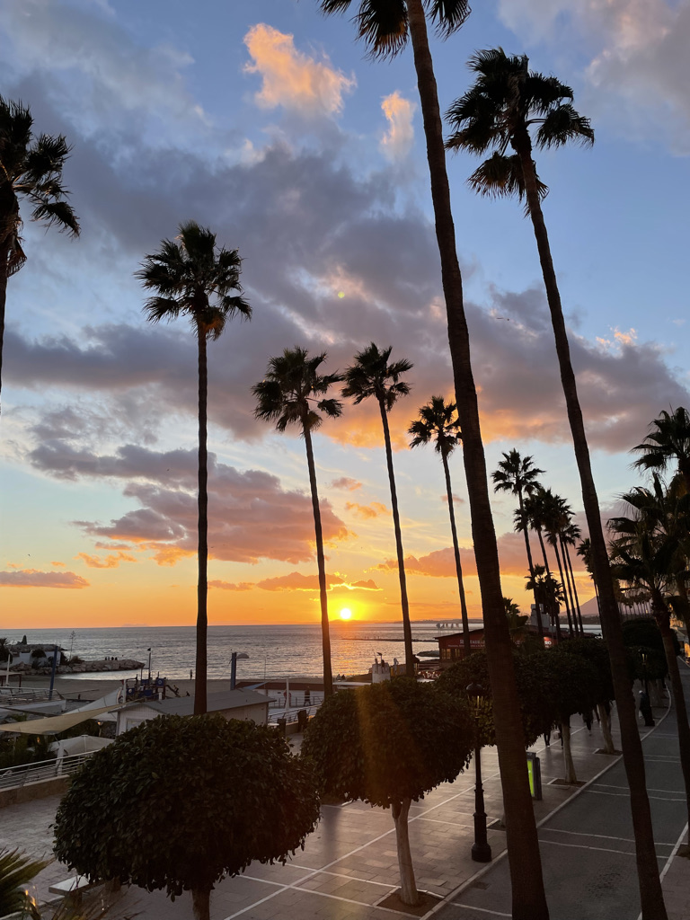 Palms silhouetted against an orange sunset over the sea in Marbella